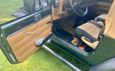 Jeep-wrangler-se-1995-green-19