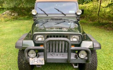 Jeep-wrangler-se-1995-green-2