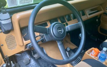Jeep-wrangler-se-1995-green-21