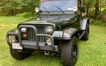 Jeep-wrangler-se-1995-green