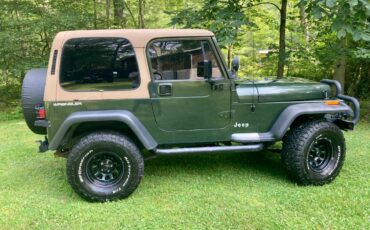 Jeep-wrangler-se-1995-green-4