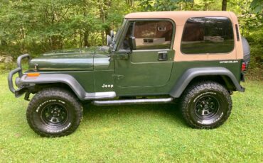 Jeep-wrangler-se-1995-green-5
