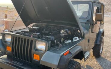 Jeep-wrangler-unlimited-4.0-high-output-1994-green-10