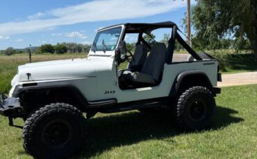 Jeep-wrangler-yj-1989-white-12