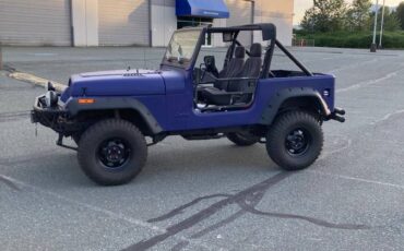 Jeep-wrangler-yj-1990-3