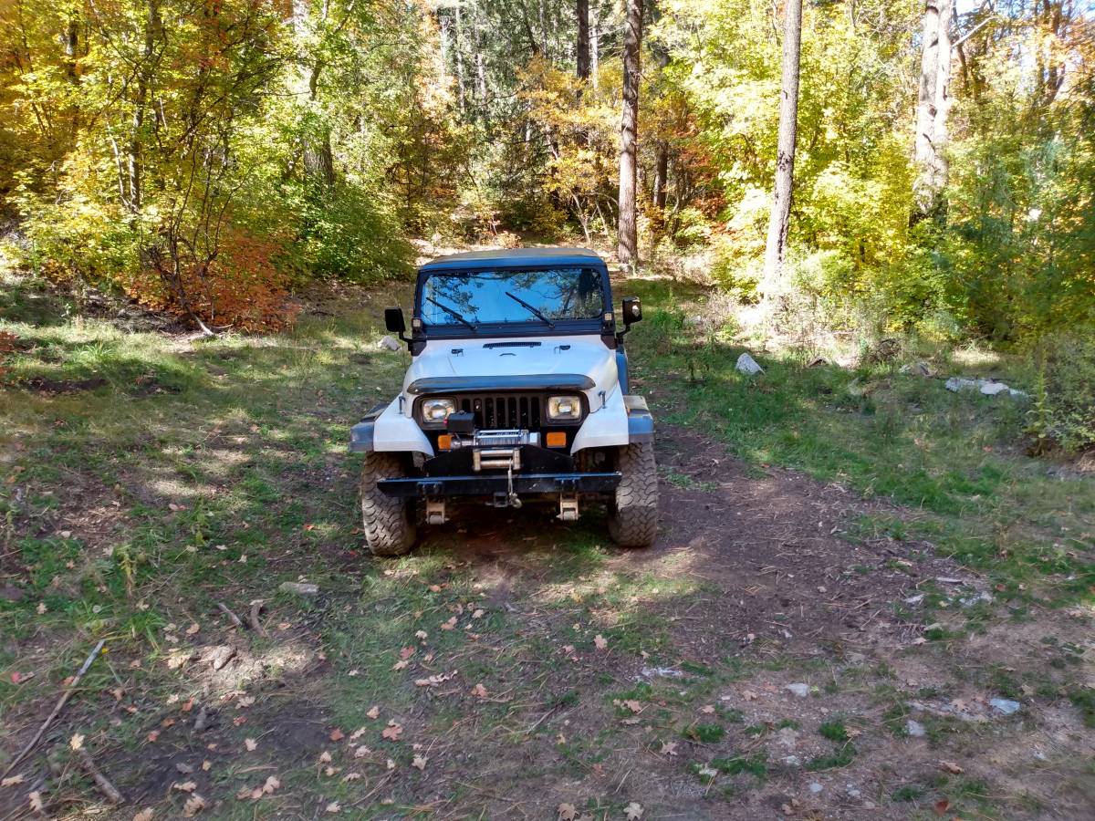 Jeep-wrangler-yj-1993-5