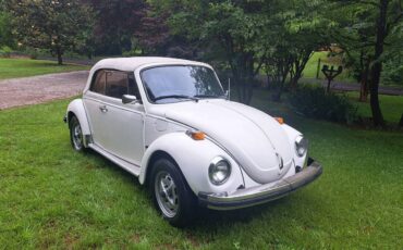 Karmann-model-1978-white-11