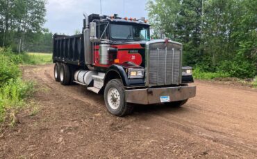 Kenworth-w900b-diesel-1988-18