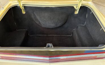 Lincoln-Continental-1976-Coupe-8