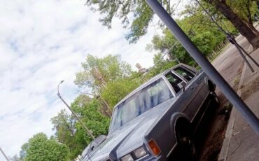 Lincoln-Town-Car-1989-Sedan-6