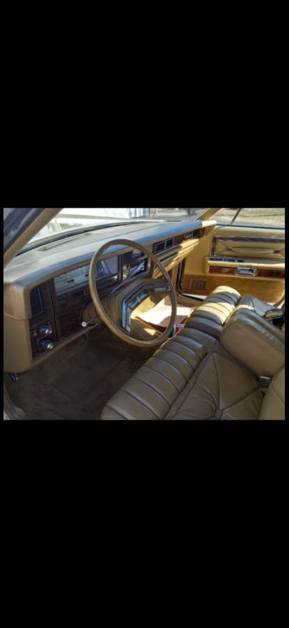 Lincoln-continental-towncar-cartier-edition-1979-22