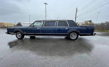 Lincoln-town-car-1982-black-3