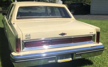 Lincoln-town-car-signature-series-1981-yellow-3