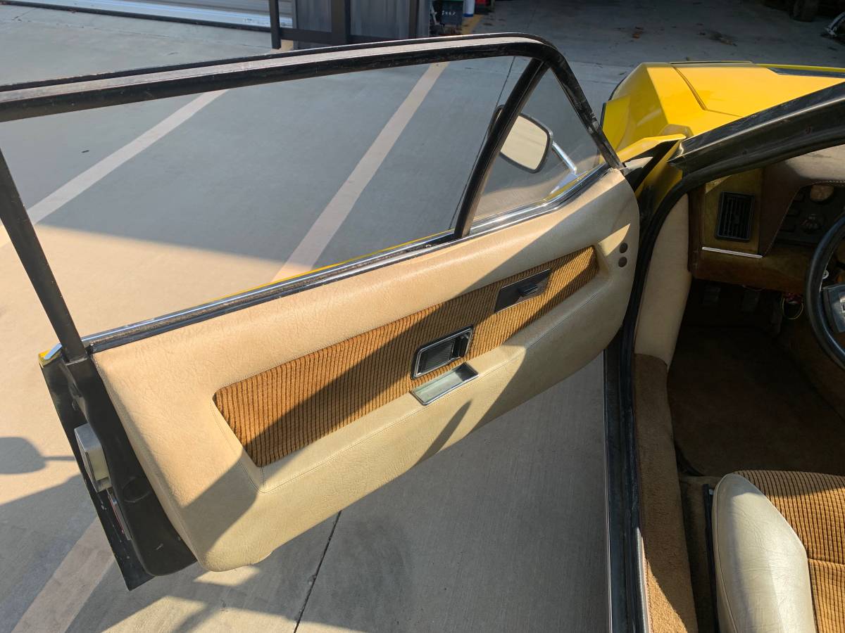 Lotus-eclat-1977-yellow-6