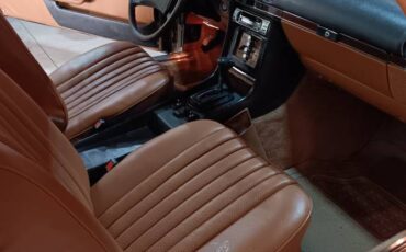 Mercedes-1979-brown-4
