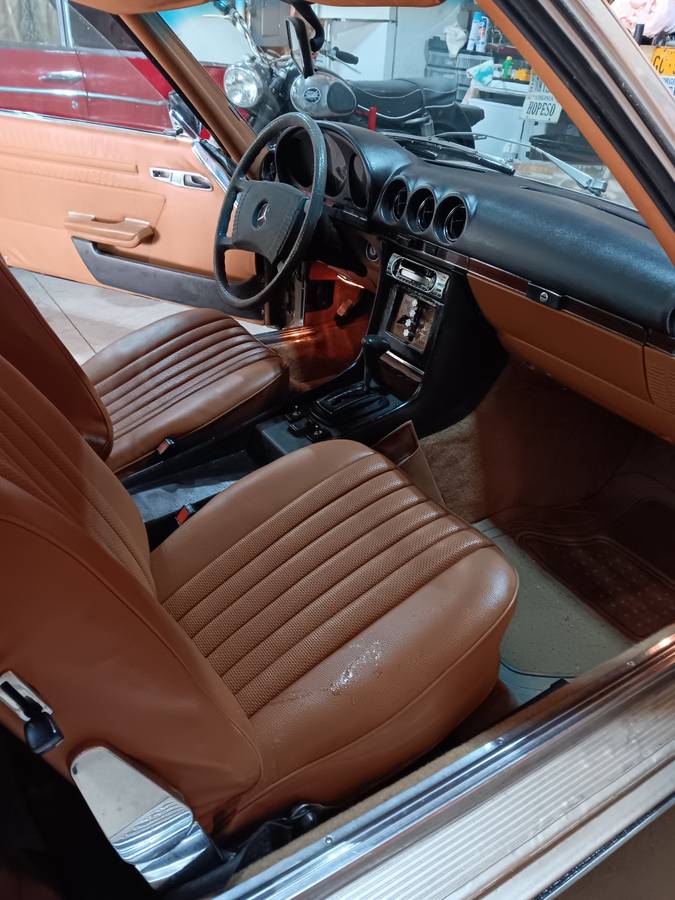 Mercedes-1979-brown-4