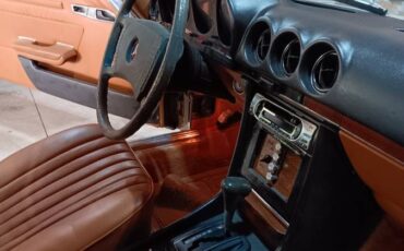 Mercedes-1979-brown-5