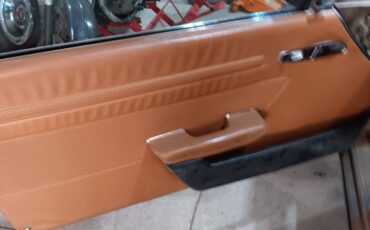 Mercedes-1979-brown-7