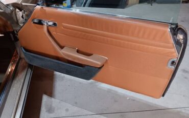 Mercedes-1979-brown-8
