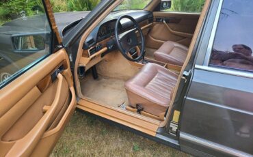 Mercedes-1981-grey-11