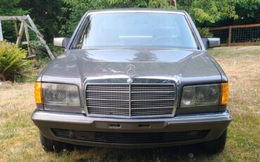 Mercedes-1981-grey-2
