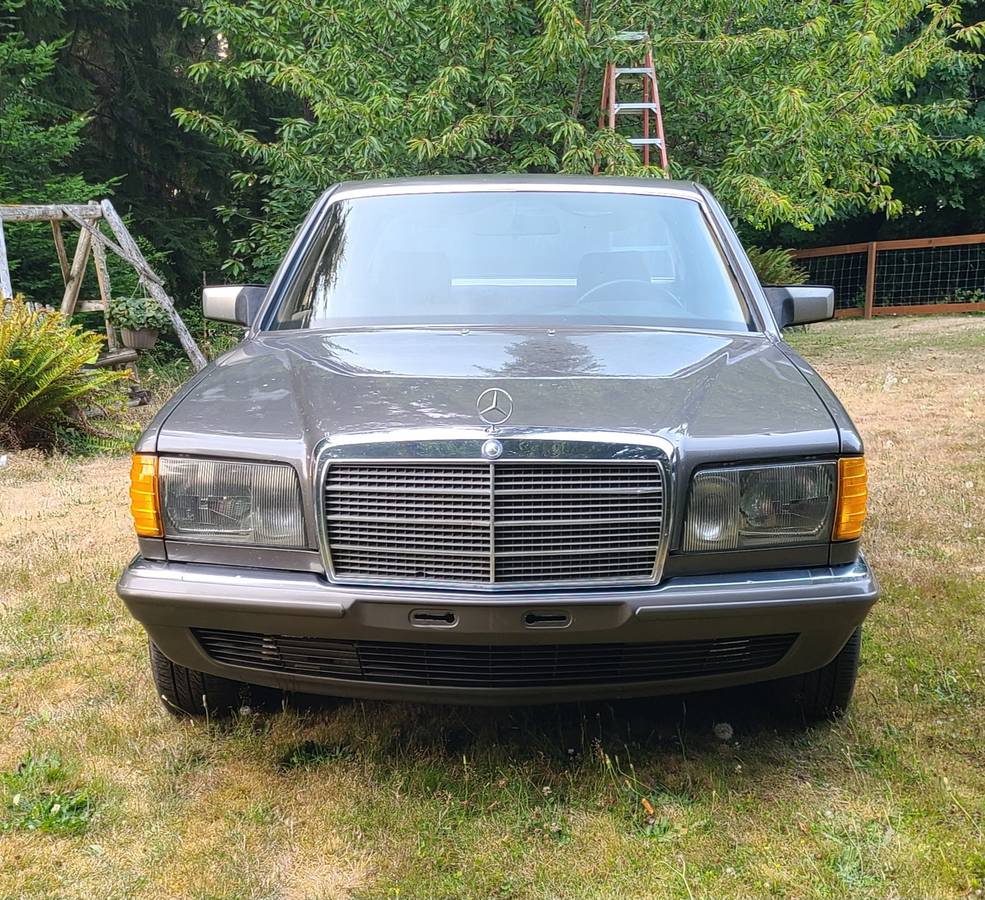 Mercedes-1981-grey-2
