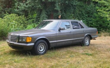 Mercedes-1981-grey