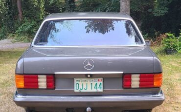 Mercedes-1981-grey-5