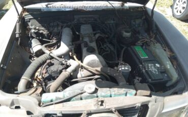 Mercedes-300-diesel-5-cyl.-1976-brown-1