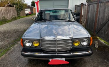 Mercedes-300d-diesel-1983-blue-1