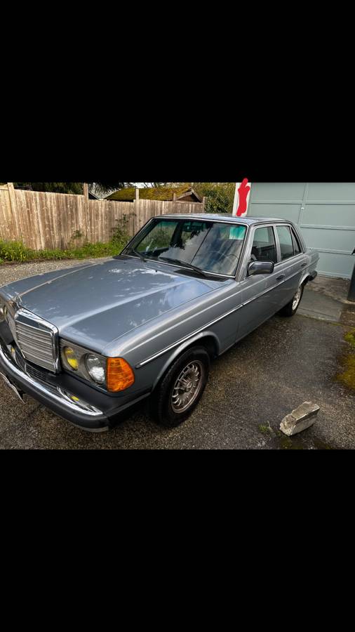 Mercedes-300d-diesel-1983-blue-2