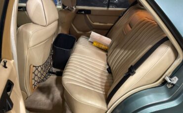 Mercedes-300d-diesel-1987-green-12