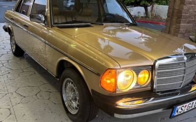 Mercedes-Benz 200-Series 1983 Sedan
