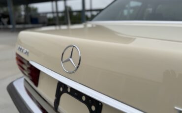Mercedes-Benz-300-Series-1982-18