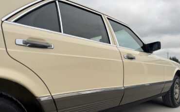 Mercedes-Benz-300-Series-1982-25