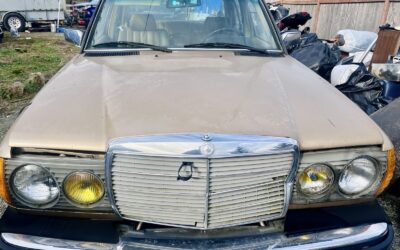 Mercedes-Benz 300-Series 1983