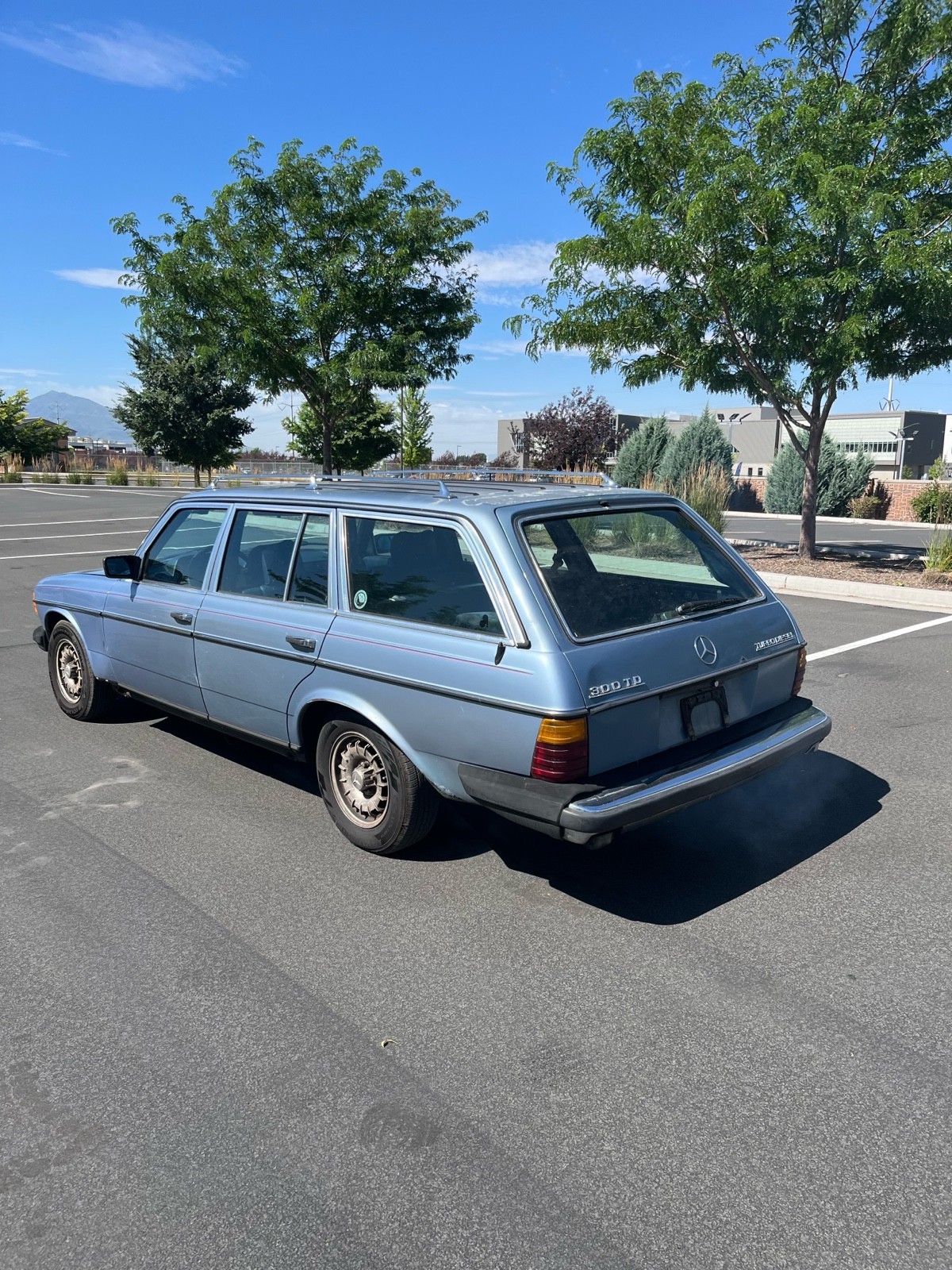 Mercedes-Benz-300-Series-1985-Wagon-3