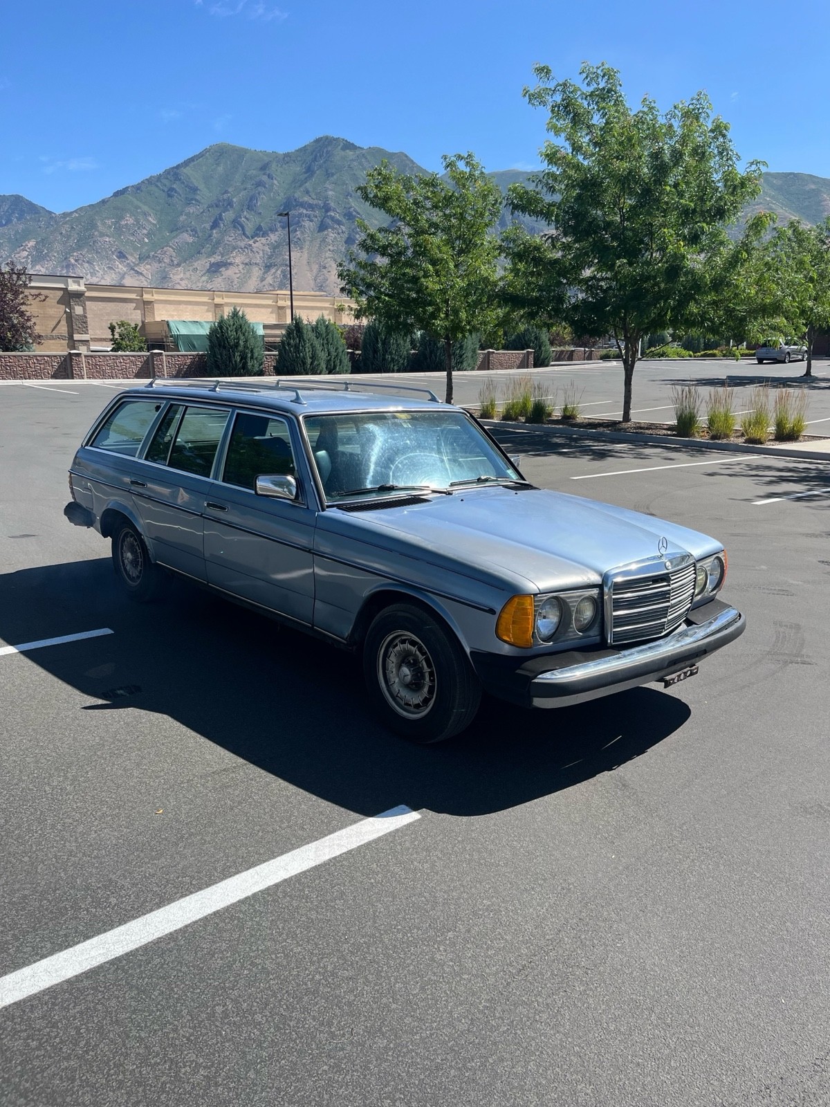 Mercedes-Benz-300-Series-1985-Wagon-7