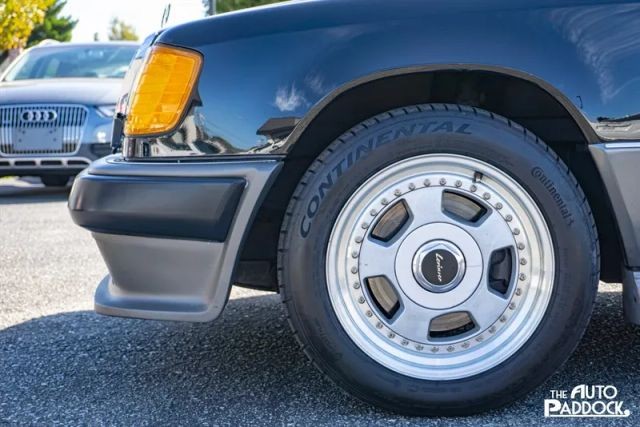 Mercedes-Benz-300-Series-1990-Sedan-10