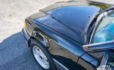 Mercedes-Benz-300-Series-1990-Sedan-8
