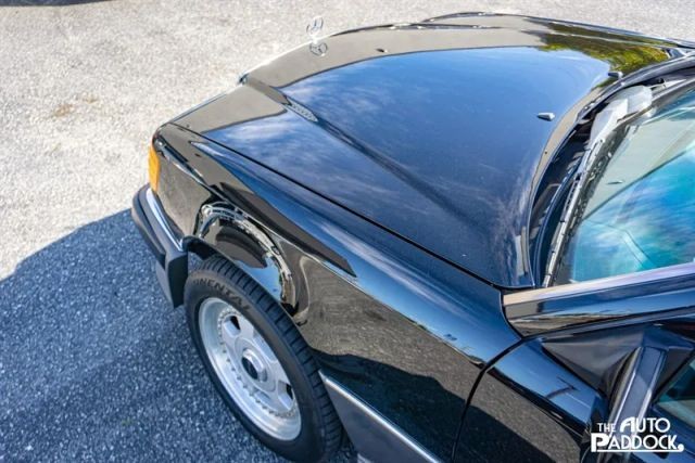Mercedes-Benz-300-Series-1990-Sedan-8