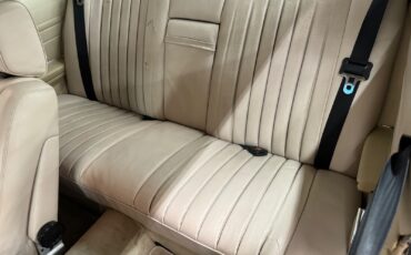 Mercedes-Benz-400-Series-1977-36