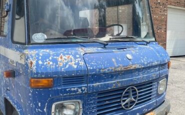 Mercedes-Benz-407-1976-2
