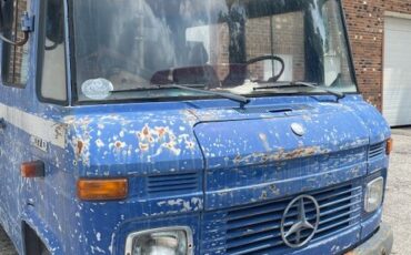 Mercedes-Benz-407-1976-6