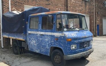 Mercedes-Benz-407-1976-8