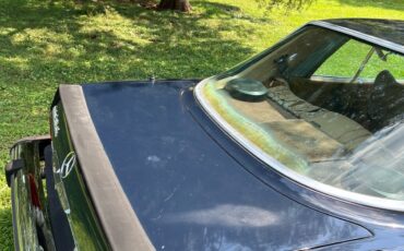 Mercedes-Benz-450SLC-1974-19