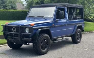 Mercedes-Benz-G-Wagon-1990-16