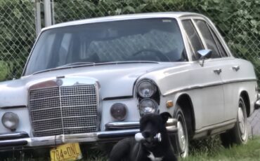 Mercedes-Benz-Other-1971