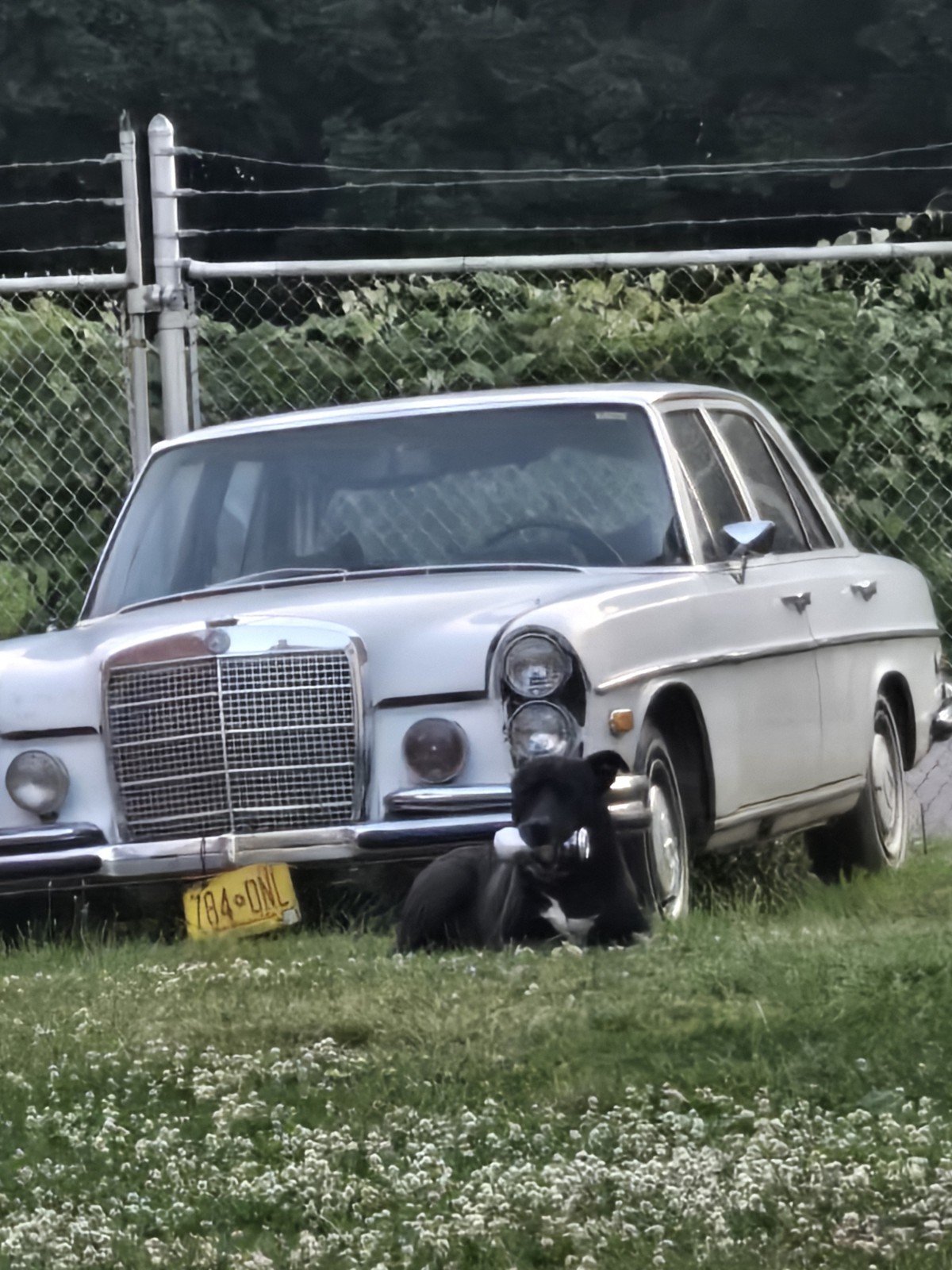 Mercedes-Benz Other 1971