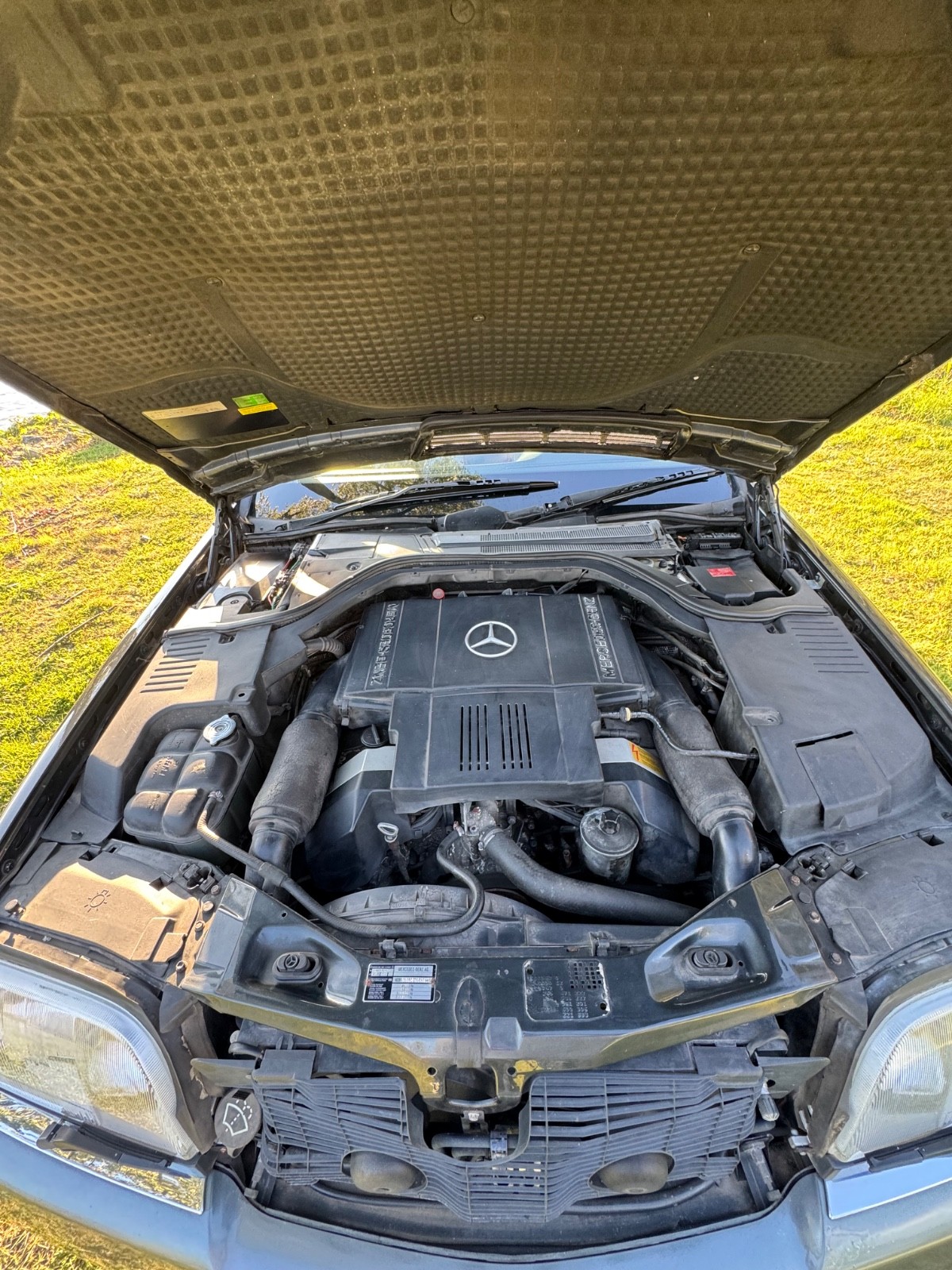 Mercedes-Benz-S-Class-1992-Sedan-36